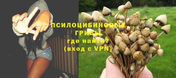 мяу мяу мука Богданович